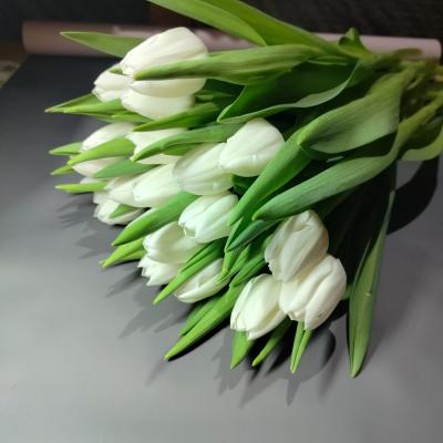 Прикрепленное изображение: IMG_20240226_125756_688.jpg